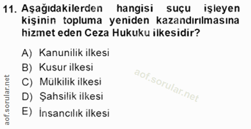 Soru 11