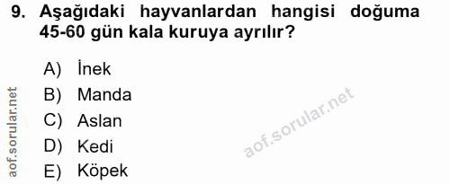 Soru 9