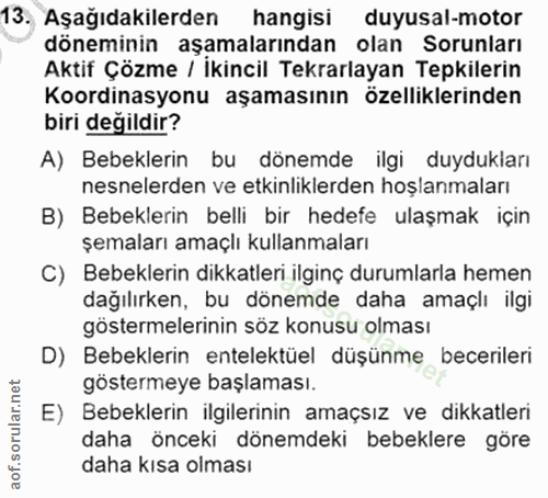 Soru 13