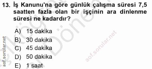 Soru 13