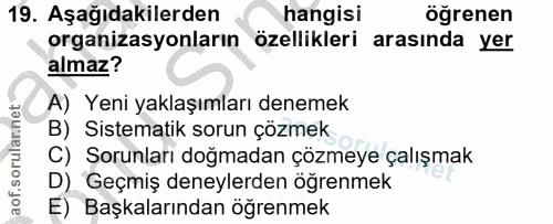 Soru 19