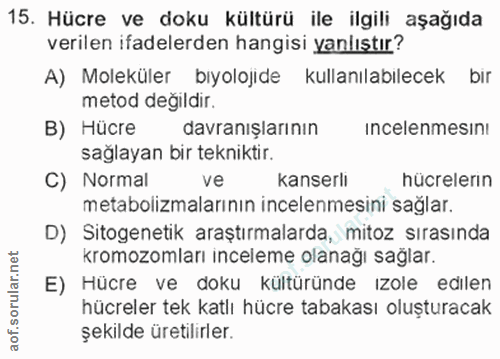 Soru 15