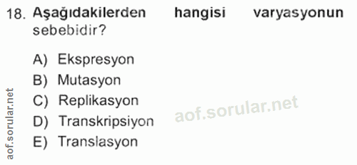 Soru 18