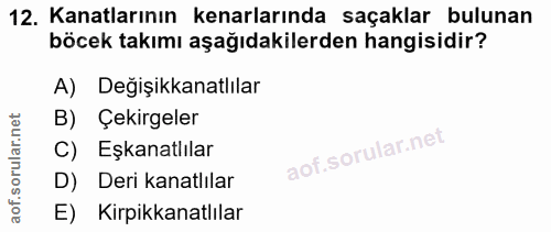 Soru 12