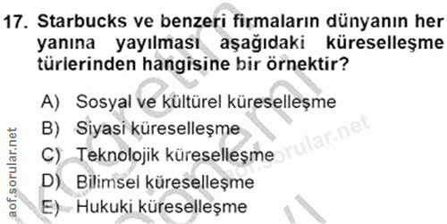 Soru 17