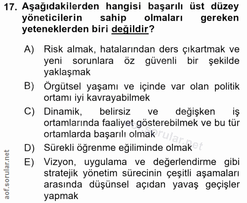Soru 17