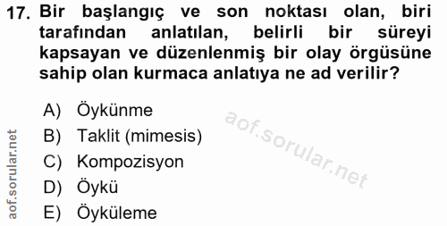 Soru 17