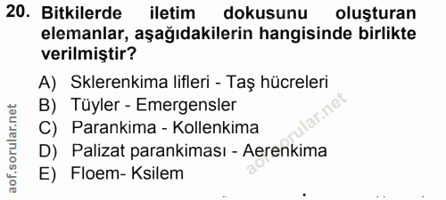 Soru 20
