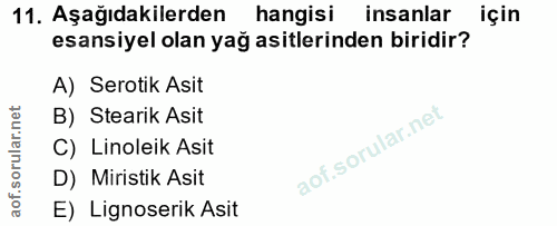 Soru 11