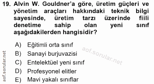 Soru 19