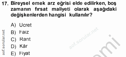 Soru 17