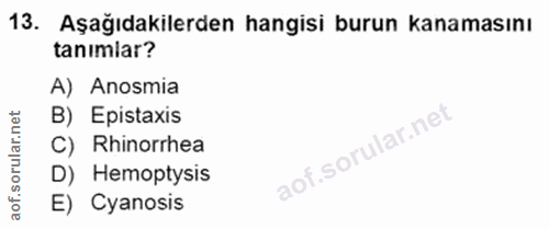 Soru 13