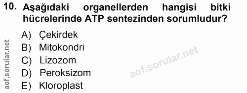 Soru 10