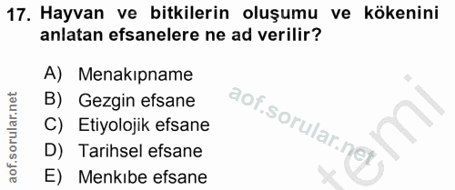 Soru 17