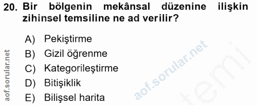 Soru 20