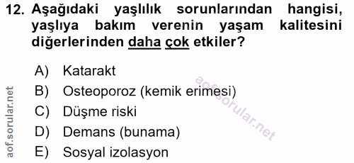 Soru 12