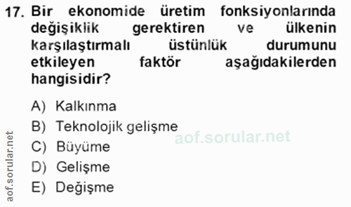 Soru 17