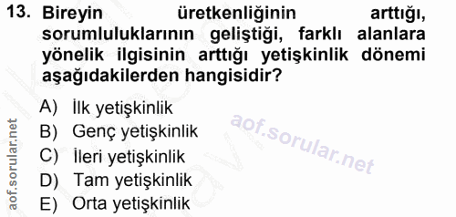 Soru 13