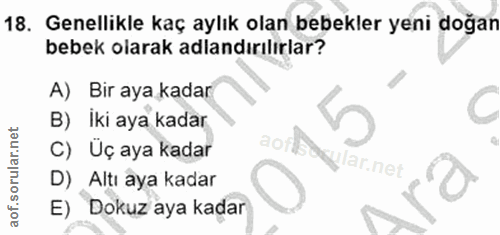 Soru 18