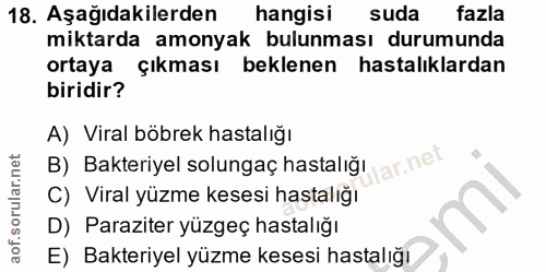 Soru 18