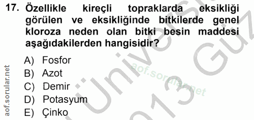 Soru 17