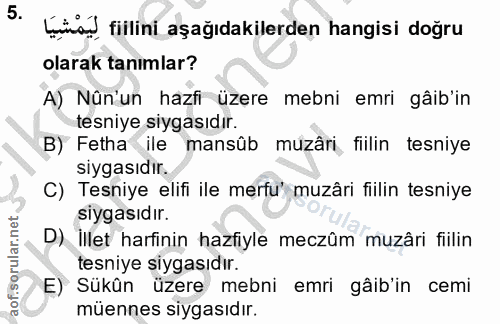 Soru 5