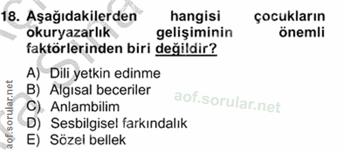 Soru 18