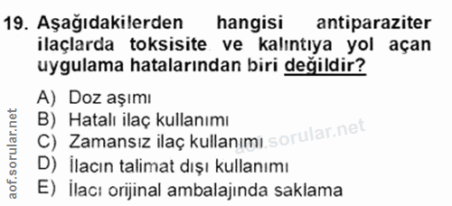 Soru 19