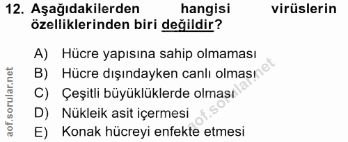 Soru 12