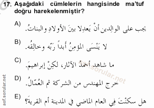Soru 17