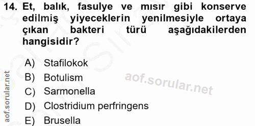 Soru 14