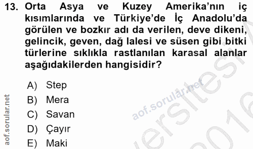Soru 13