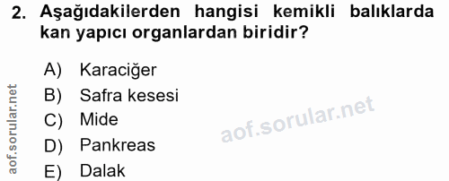 Soru 2