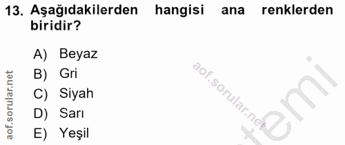 Soru 13