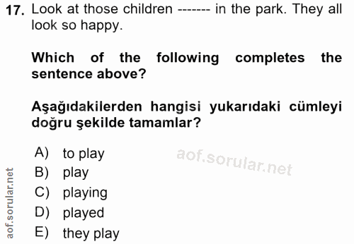 Soru 17