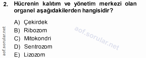 Soru 2
