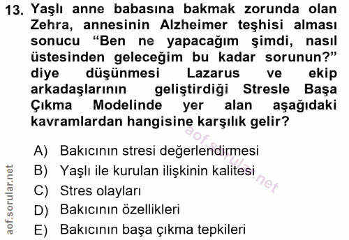 Soru 13