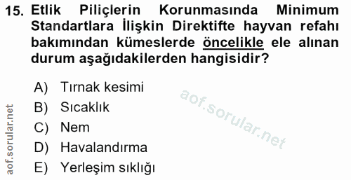 Soru 15