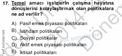 Soru 17