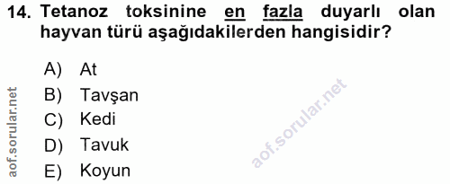 Soru 14