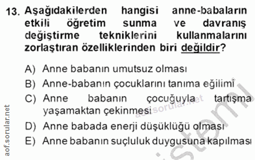 Soru 13