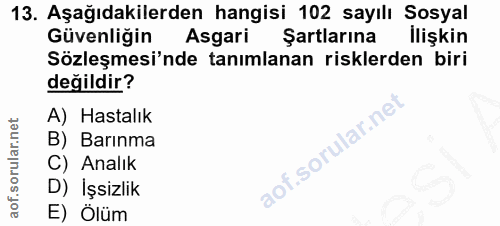 Soru 13