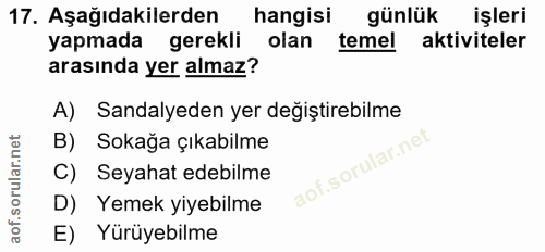 Soru 17