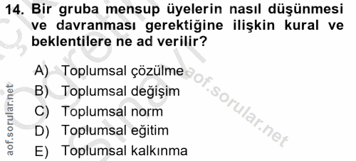 Soru 14