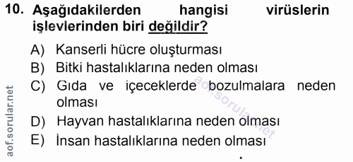 Soru 10