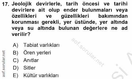 Soru 17