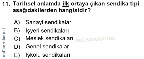 Soru 11