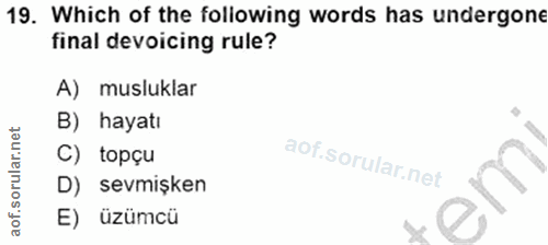 Soru 19