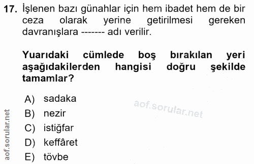 Soru 17