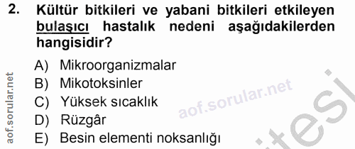 Soru 2